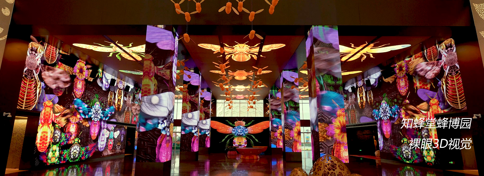 知蜂堂裸眼3d