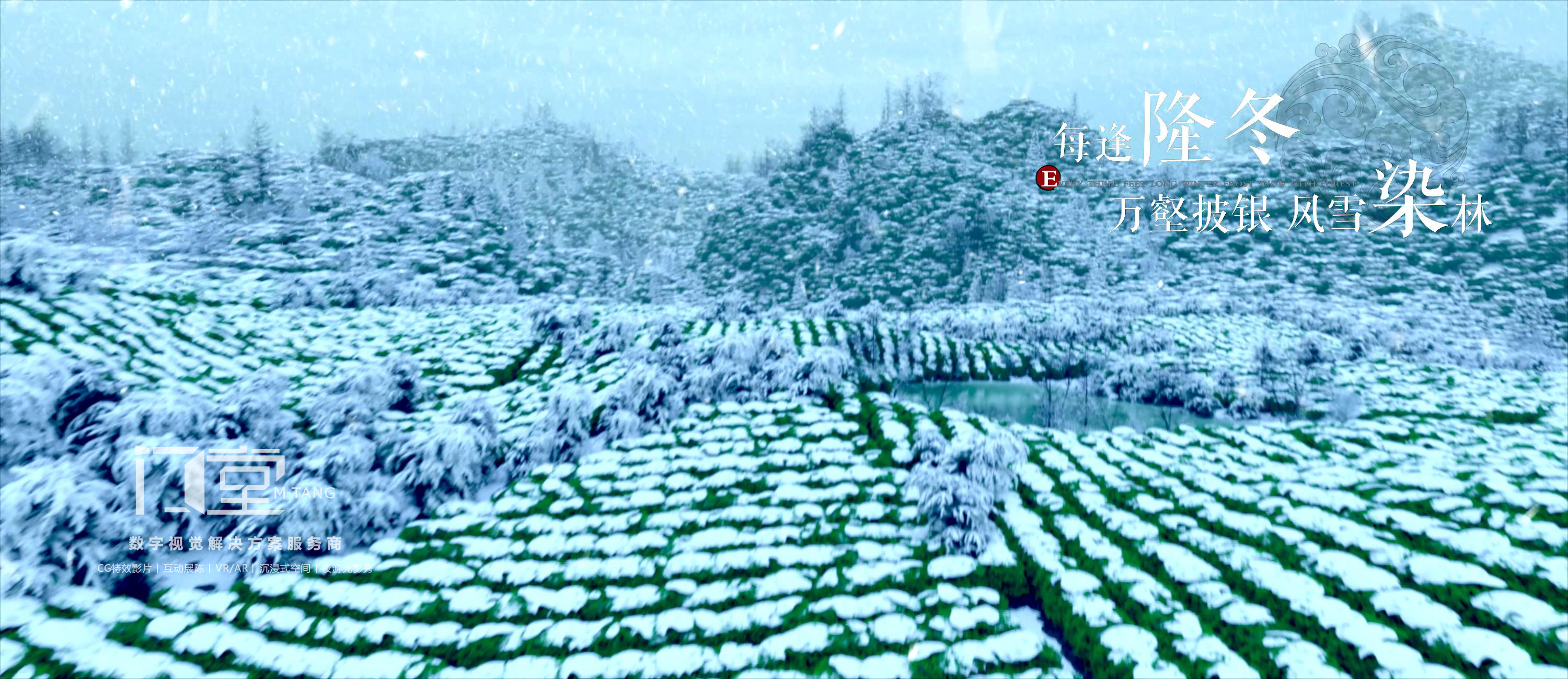 峨眉雪芽9.5-w_2018122615031.jpg